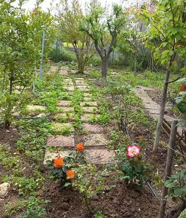 Saint Anna Country House. Agia Anna  Exterior foto