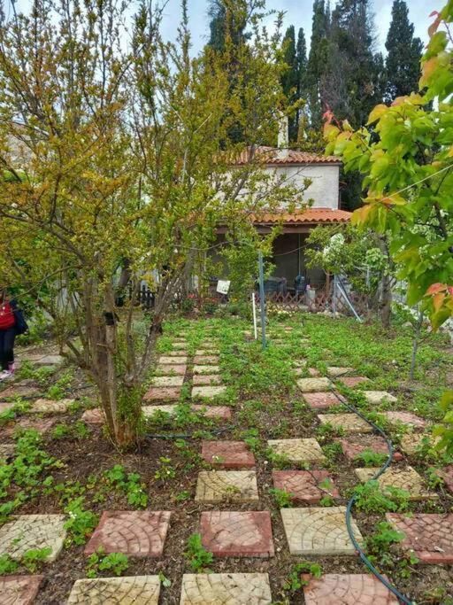 Holiday home Saint Anna Country House. Agia Anna (Evia)