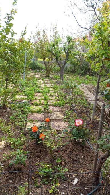 Saint Anna Country House. Holiday home Agia Anna (Evia)