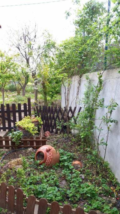 Holiday home Saint Anna Country House. Agia Anna (Evia)