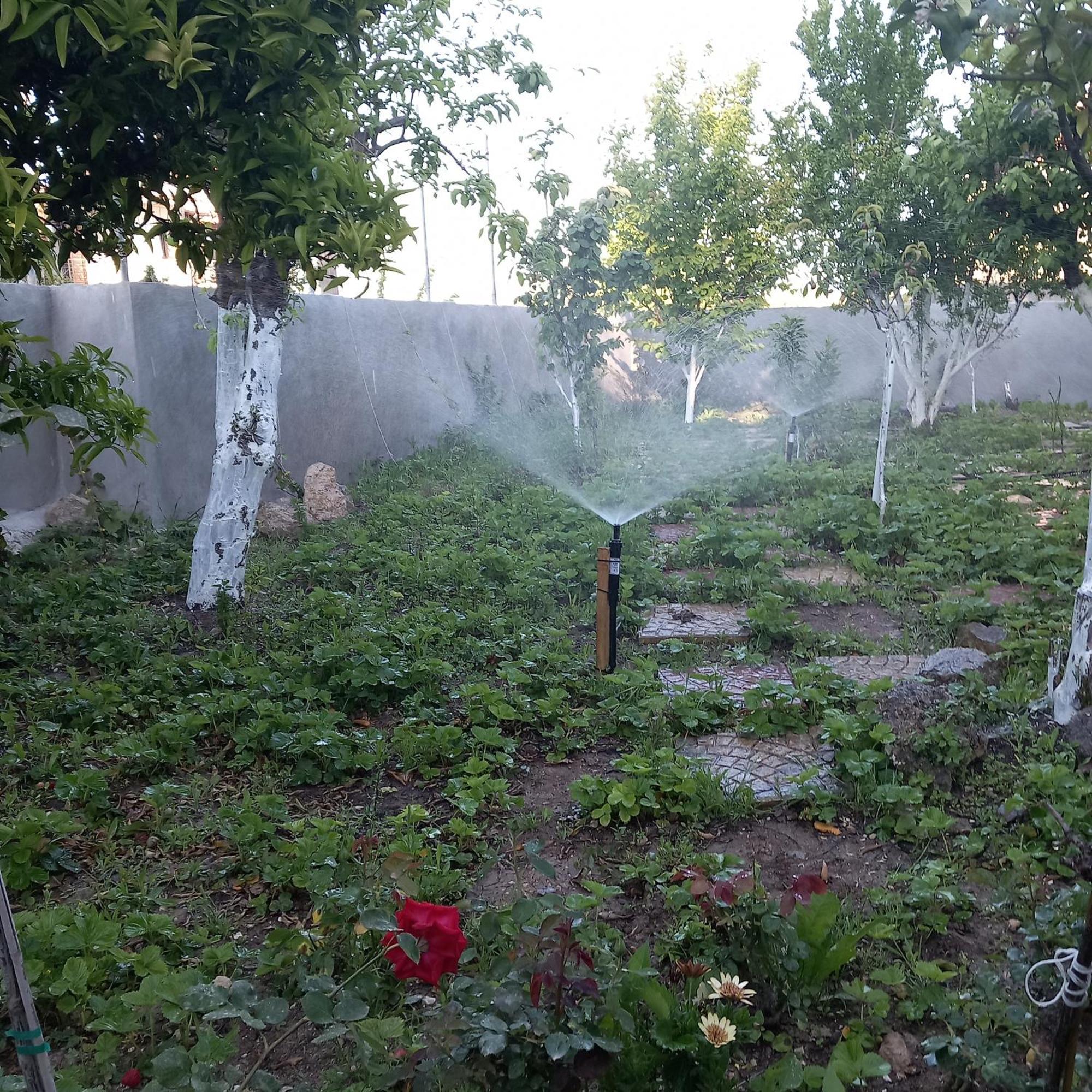 Saint Anna Country House. Vakantiehuis Agia Anna (Evia)