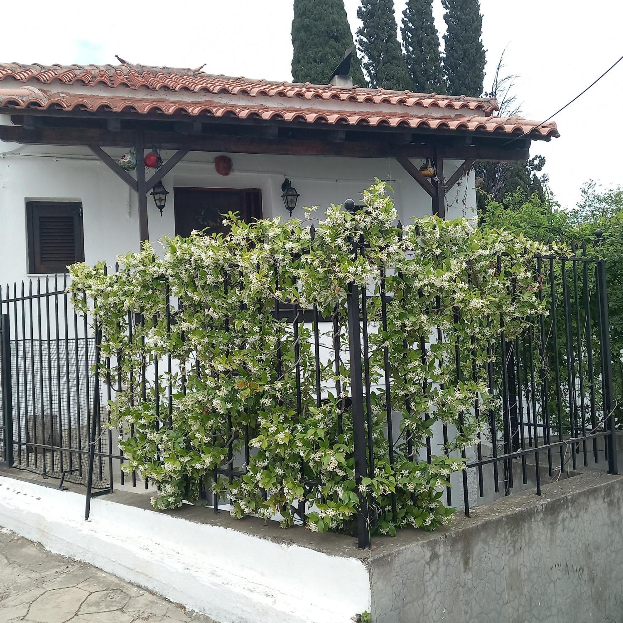 Vakantiehuis Saint Anna Country House.